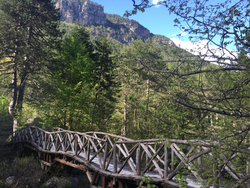 Mount Olympus in Greece