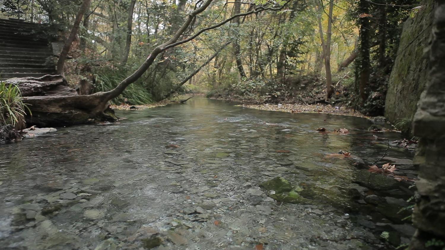 Mount Olympus Pure Foods - Water river in Greece